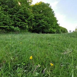 Oportunitate de Investiție - Teren de Basm in Bascov. DIRECT PROPRIETAR.