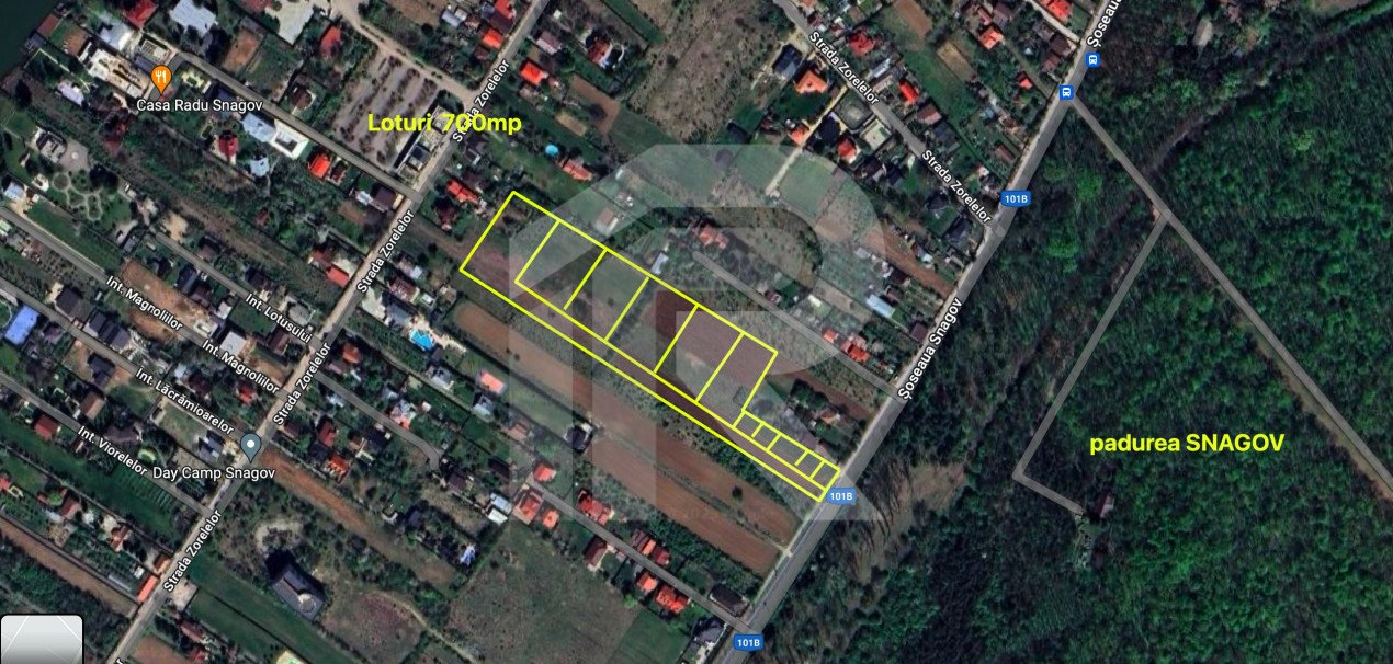 🏡 Teren construibil Snagov – locul unde visele capătă formă