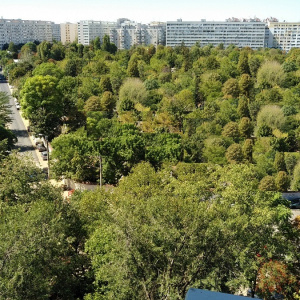 DRISTOR-PARK LAKE, 3 CAMERE, CENTRALA BLOC!