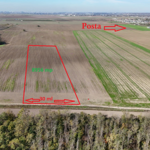 CERNICA-POSTA, LOT 8956 MP, LA PADURE! 