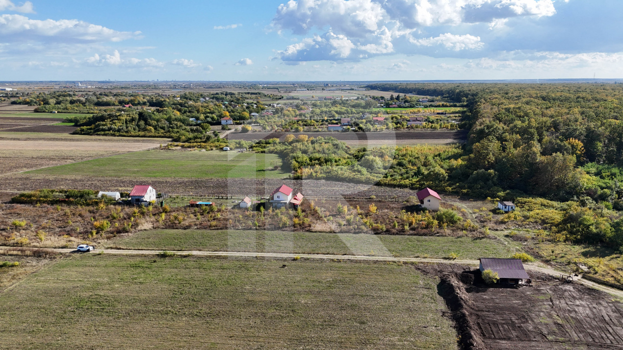 Refugiu la marginea padurii — 1000 mp de liniste in Cocani.