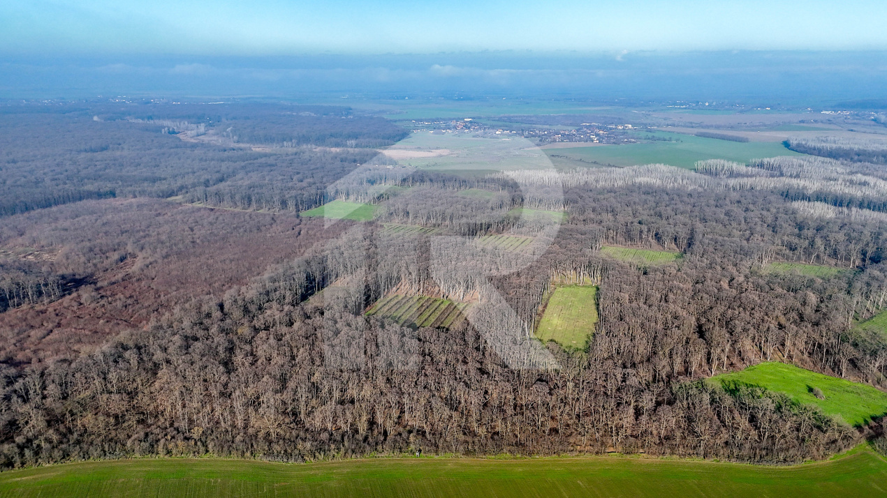 Teren langa Manastirea Sfantul Nicolae Sitaru